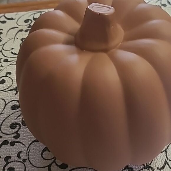 Mikasa Pumpkin - Picture 5 of 7